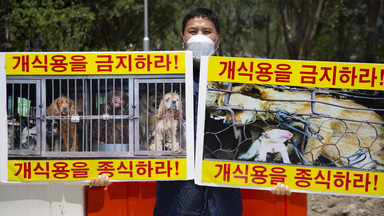 Rząd Korei Południowej zapowiada zmiany. Będzie zakaz sprzedaży mięsa psów