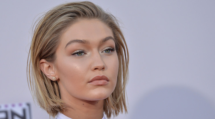 Gigi Hadid/Fotó:Northfoto