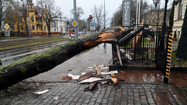 Połamane drzewa, ulice zasypane śniegiem. Polskie miasta po przejściu nawałnicy [ZDJĘCIA]