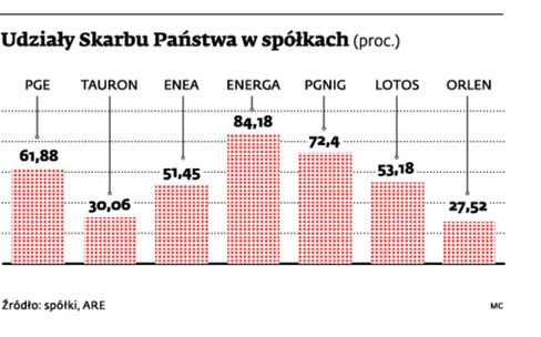 Udziały Skarbu Państwa w spółkach (proc.)