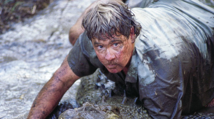 Steve Irwin nem ismert félelmet a krokodilok között /Fotó: AFP