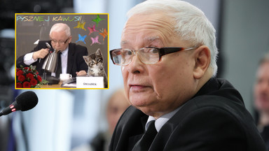 Jarosław Kaczyński przed komisją ds. Pegasusa. Internauci komentują [MEMY]