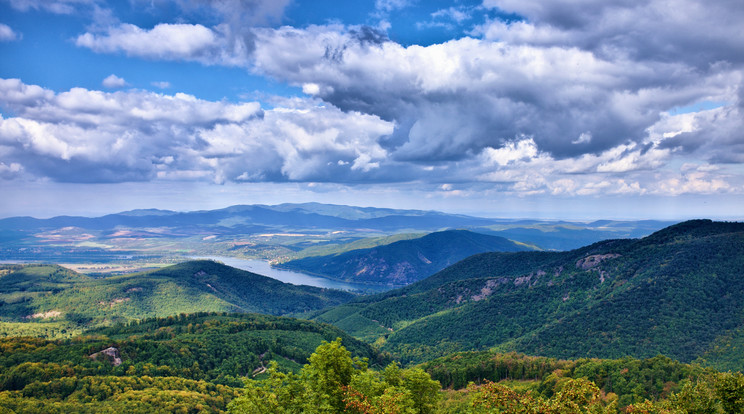 Fotó: Shutterstock