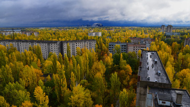 Czarnobyl po trzydziestu latach. Natura zwyciężyła