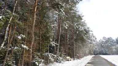 Północ Europy walczy z atakiem zimy. Pasażerowie promu utknęli na morzu