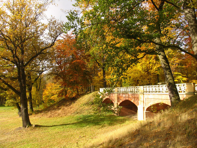 Park Mużakowski