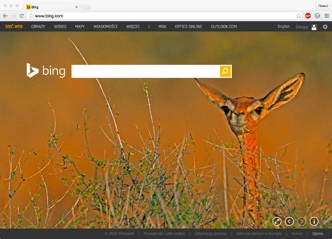 Bing będzie szyfrować ruch generowany przez wyszukiwarkę
