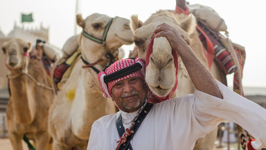Wielbłądy z Wielkiej Brytanii podbijają konkurs piękności w Arabii Saudyjskiej
