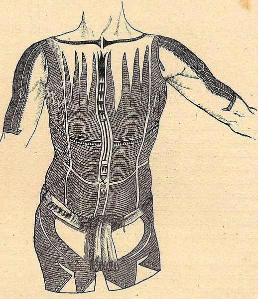 Rysunek Jana Kubarego,
prezentujący tatuaże typowe dla
mężczyzn z archipelagu Karoliny,
dostarczony do wydawanego przez
Johna Cesara Godeffroya pisma
naukowego „Journal des Museum
Godeffroy”
