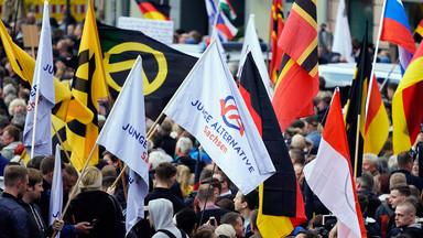 Niemiecki sąd: młodzieżówka AfD to prawicowi ekstremiści