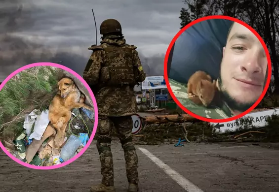 Połamali kości i zaminowali psa. Tak armia Putina traktuje zwierzęta w Ukrainie