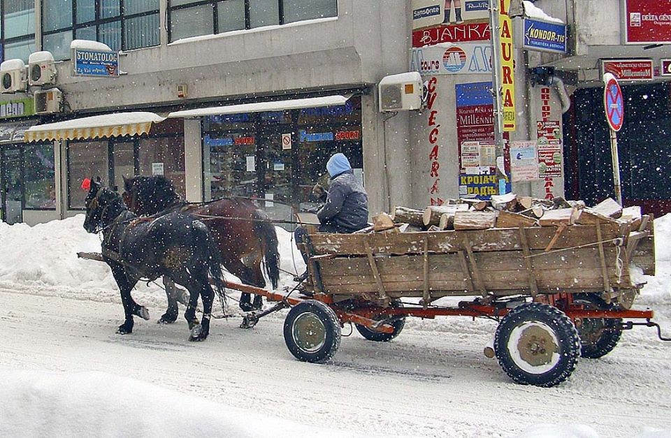 Zima sve hladnija, a ogrevnog drveta u Loznici "ni za lek" - Blic - Blic