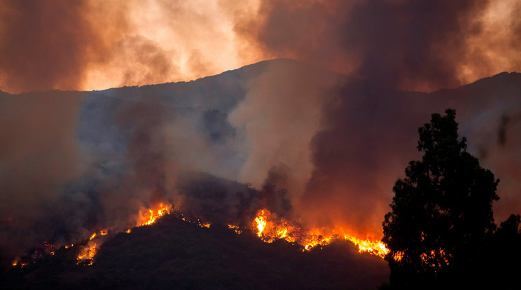 Tűzvész pusztít a Kanári - szigeteken /Fotó:MTI/EPA/EFE/Carlos Diaz