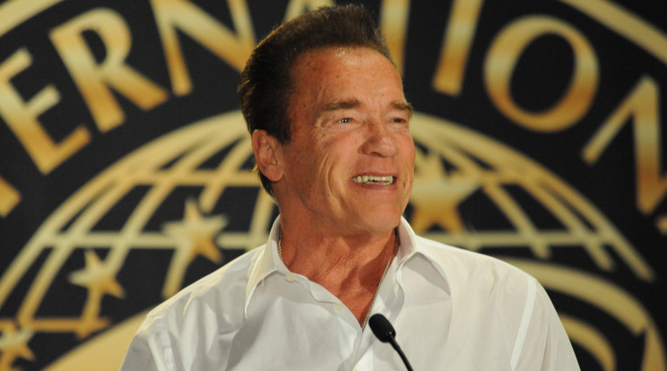 Arnold Schwarzenegger lenyűgözte a vendégeit pár kis háziállattal / Fotó: Northfoto