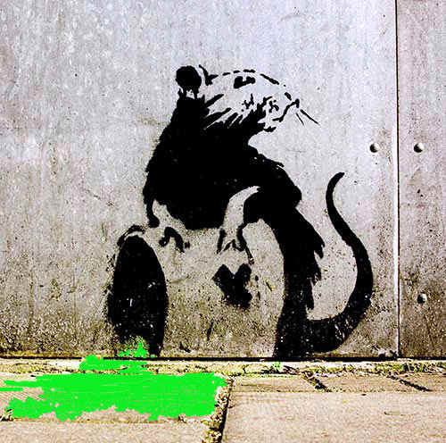 Banksy, Szczur, fot. timtimes/flickr