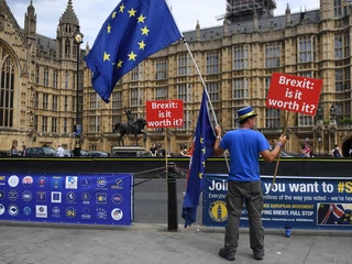 Przeciwnik Brexitu przed brytyjskim parlamentem. 18 lipca 2018 r.