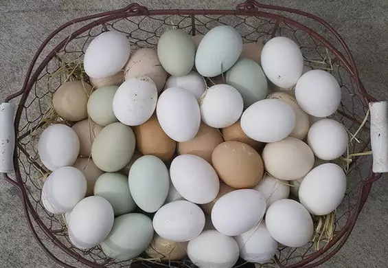 Nie tylko jajecznica. 10 pomysłów na dania z jajek, których będziecie chcieli spróbować