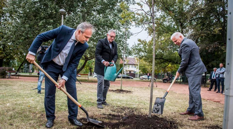 Dr. Nagy István és Dr. Kovács Ferenc, Nyíregyháza polgármestere fát ültetnek