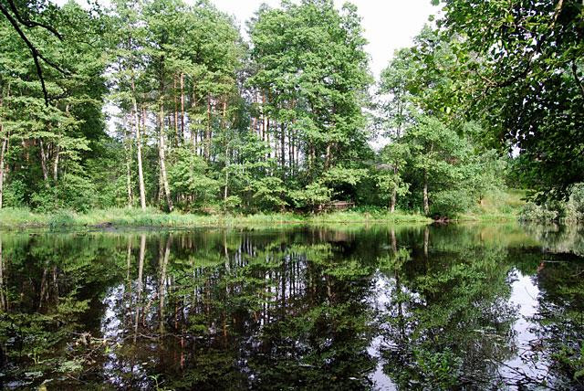 Galeria Polska - Bory Tucholskie, obrazek 22