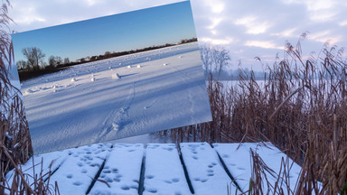 Bajkowa zima w Polsce. Piękne zjawisko na jeziorach. "Jak grzbiet jeża"