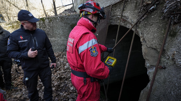 A szerb rendőrök a bori erdő tíz kilométeres körzetének minden négyzetcentiméterét átvizsgálták Fotó:  Serbian Police