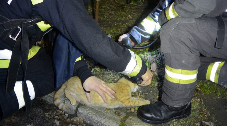 Fotó: Fővárosi Katasztrófavédelmi Igazgatóság - Dudás Tamás tűzoltó zászlós