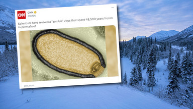"Wirus zombie" spędził 48 tys. 500 lat w wiecznej zmarzlinie. Naukowcy go ożywili