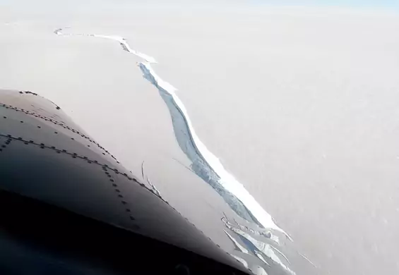 Góra lodowa wielkości Nowego Jorku oderwała się od lodowca na Antarktydzie. To nie wynik zmian klimatu