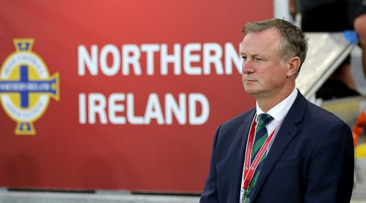 Michael O'Neill /Fotó: AFP