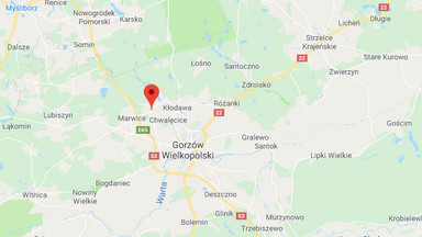 Strażacy gaszą pożary w lasach niedaleko Gorzowa Wielkopolskiego
