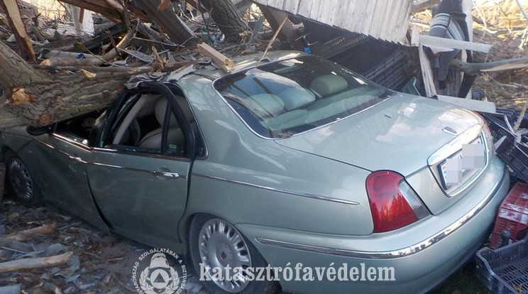 Rengeteg autót megrongáltak a kidőlt fák / Fotó: Pest Megyei Katasztrófavédelmi Igazgatóság