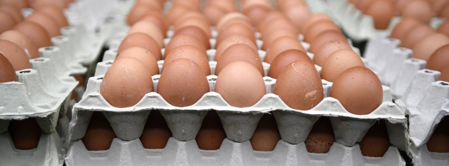 Jajka podrożały w rok o 21,9 proc. 
