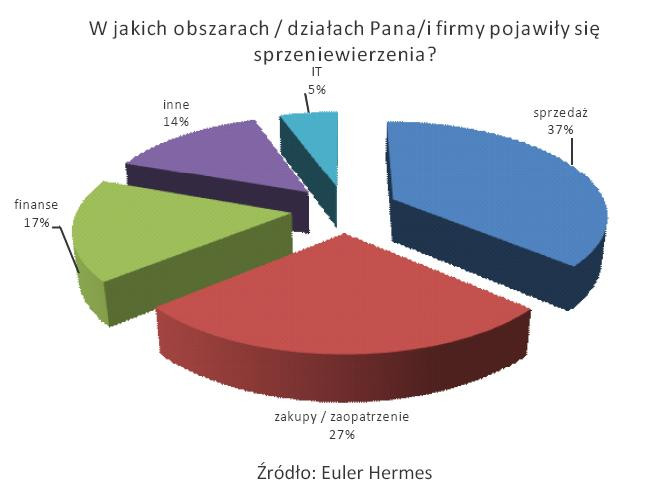 W jakich obszarach działania Pana-i firmy pojawiły się sprzeniewierzenia