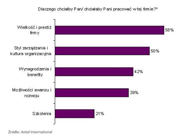 Dlaczego chciałby Pan pracować w tej fitmie