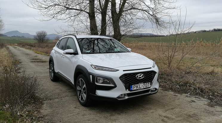 Van benne ötlet, egyediség, merészség, a Hyundai még néhány évtizede csupa semleges, álmos kinézetű autót gyártott, erre itt van a Kona, ami megcáfol minden korábbi előítéletet