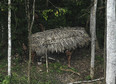 Tajemnicze plemię z Amazonii