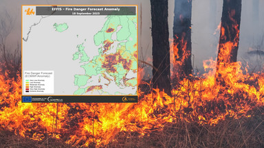 Polska "czarną plamą" na mapie Europy. Zagrożenie pożarowe jest ekstremalne