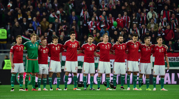 Sorsdöntő meccs vár a magyarokra a portugálok ellen /Fotó: AFP