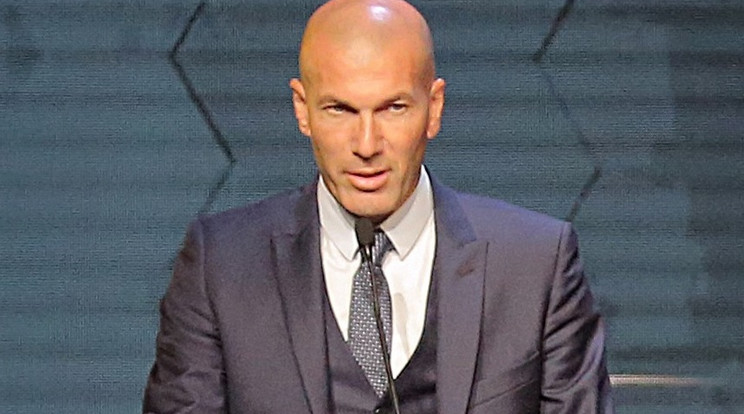 Zinédine Zidane /Fotó: Northfoto