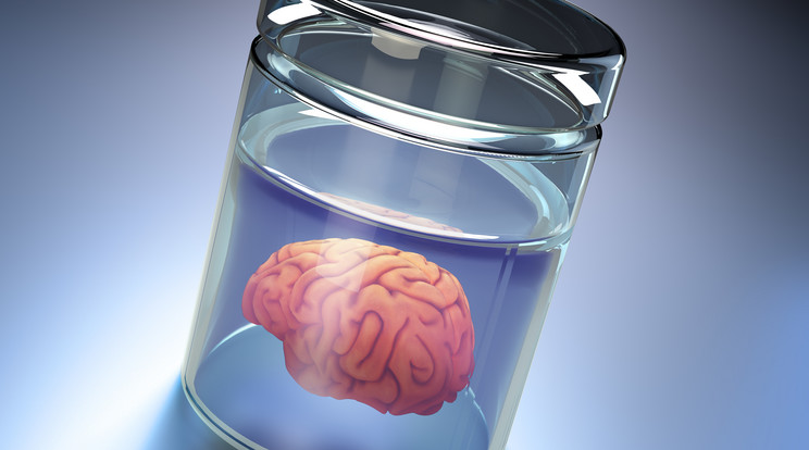 Brandi Chastain agyát egy szerv bankban tárolják majd halála után / Fotó: AFP