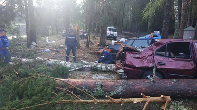 Huragan powalił drzewa, a te spadły na dziki kemping w Rosji. Zginęło osiem osób