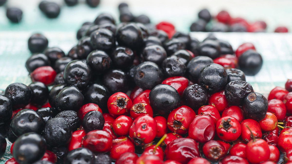 Na stoiskach polskich wystawców, którzy biorą teraz udział w targach żywności ekologicznej BioFach w Norymberdze, skosztować można rozmaitych przetworów z aronii. Jedzenie tych owoców wspomaga leczenie wzroku, aronia ma też właściwości odtruwające.