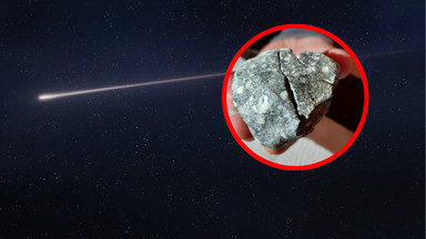 Polscy łowcy meteorytów znaleźli niezwykły skarb pod Berlinem. "Mieliśmy szczęście"