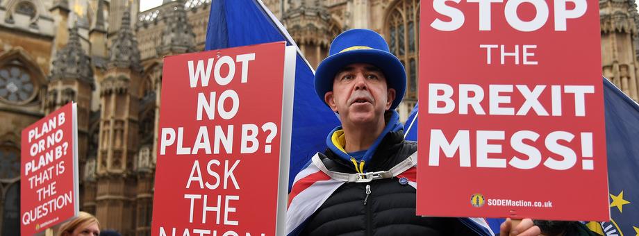 Prounijni demonstranci przed brytyjskim parlamentm. Londyn, 21 stycznia 2019 r.