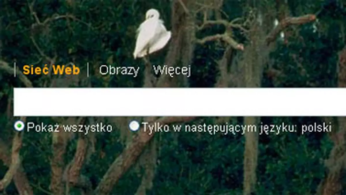 Bing nie podbił serc użytkowników