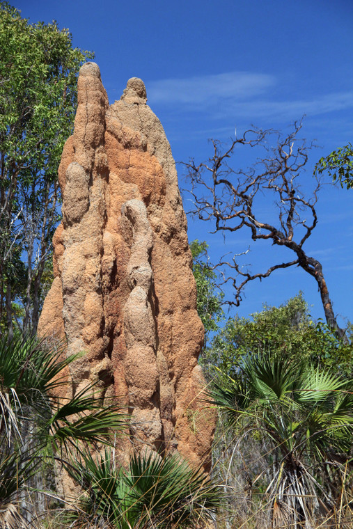 Australia - od Sydney do Kakadu