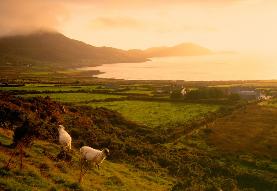 Gdzie warto pojechać w 2013 roku - Irlandia