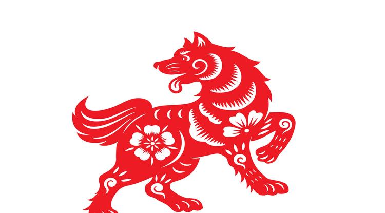 Kínai horoszkóp decemberre a Kutyáknak Fotó: Getty Images