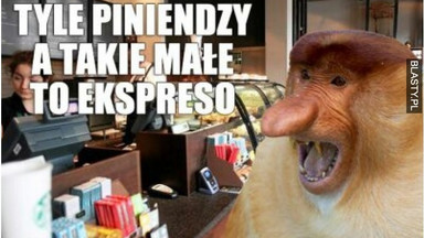 Najlepsze memy o kawie na Dzień Kawy. Spróbuj się nie zaśmiać