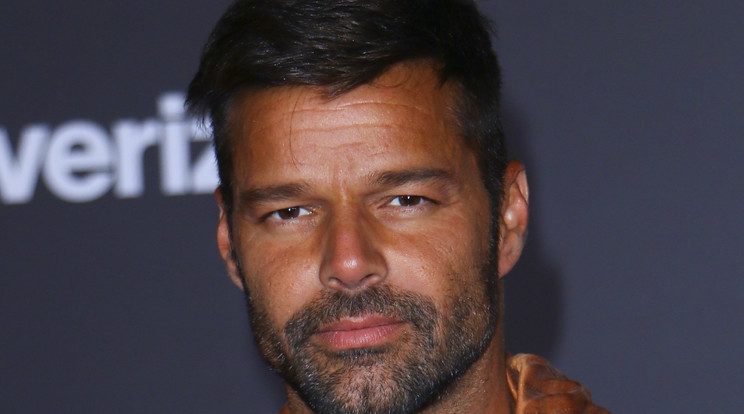 Ricky Martin magával hozza párját és gyermekeiket is Budapestre /Fotó: Profimedia-Reddot